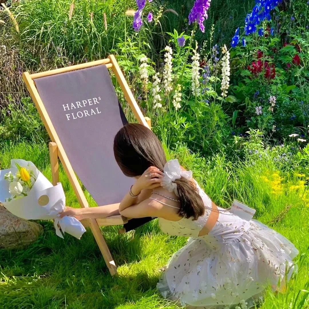 我可能遇到了救星